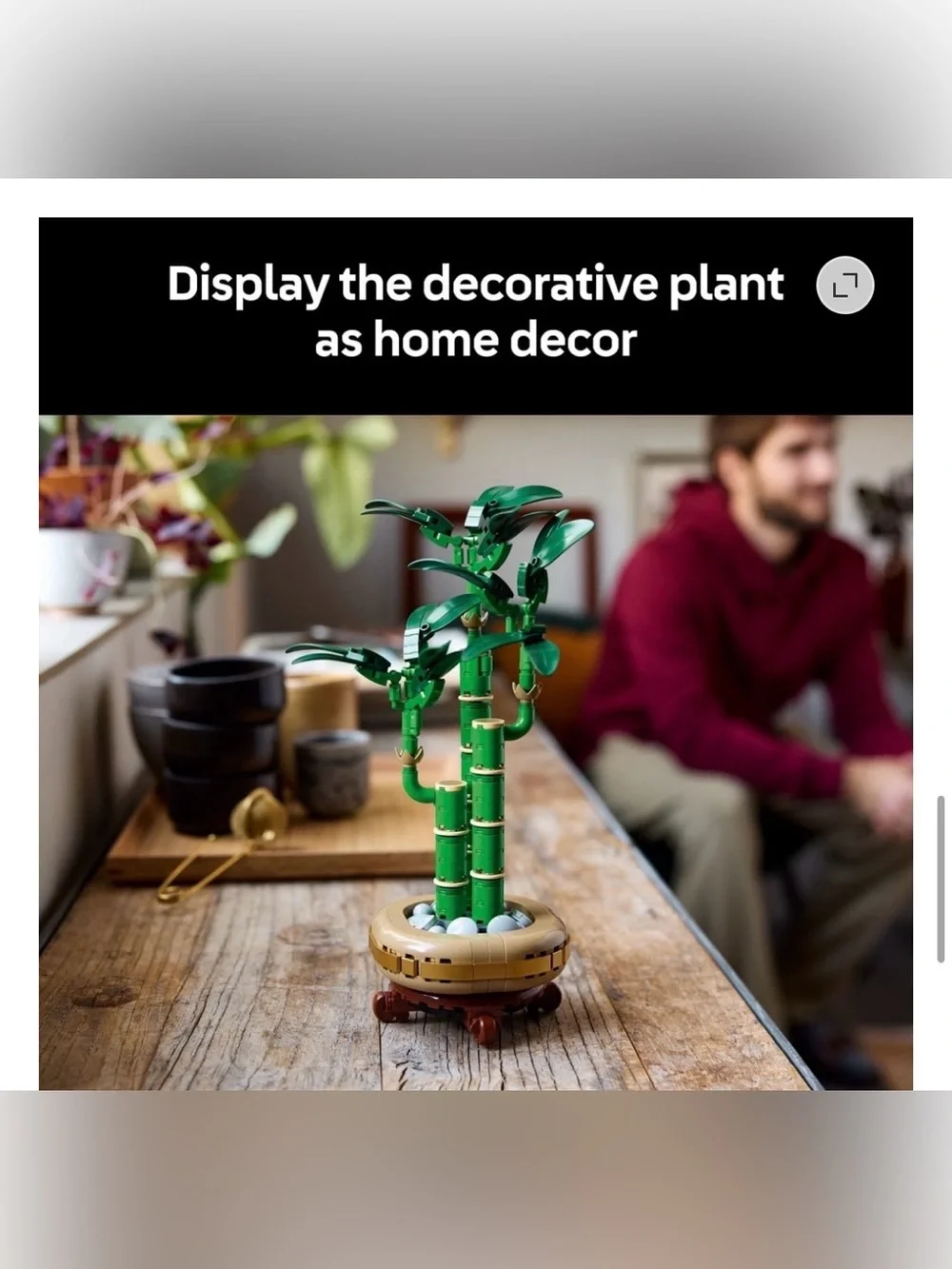 LEGO Botanical Lucky Bamboo Set